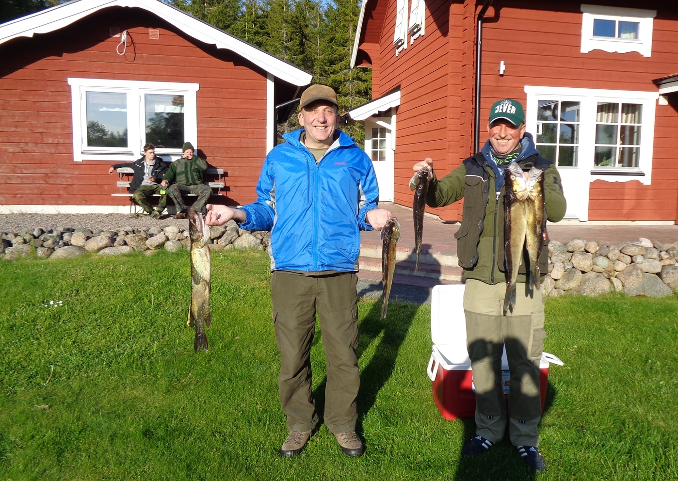 Fiska gös i Anebysjön Fiska tycker dessa gäster om att göra.